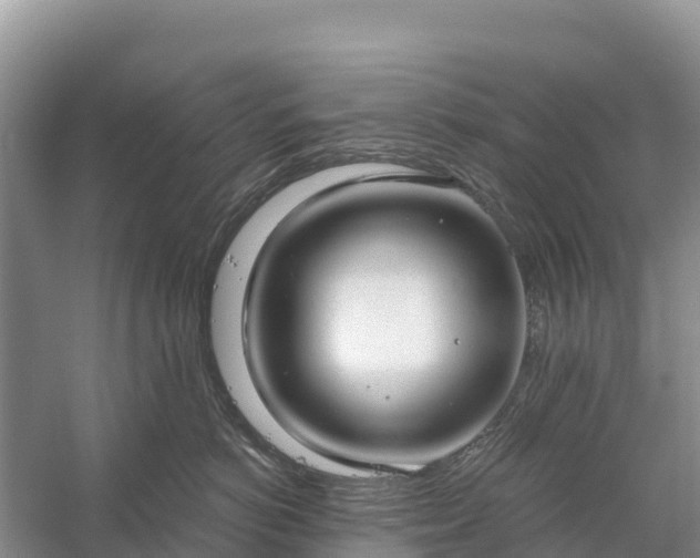 X0000058790766200510071635