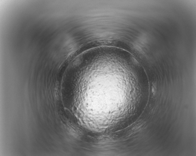 X0000058790867200510071633