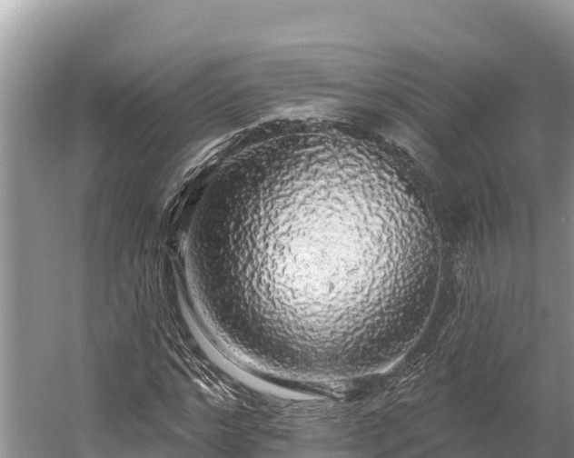 X0000058790968200510071631