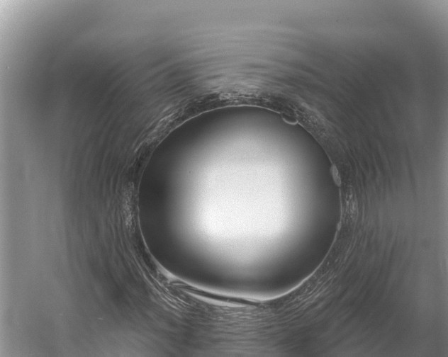 X0000058791012200510071629