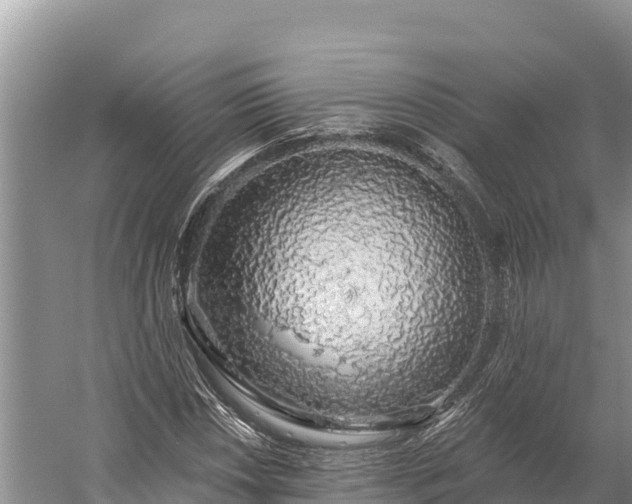 X0000058791018200510071630