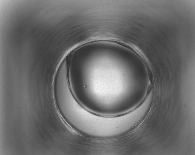 X0000058791246200510071627