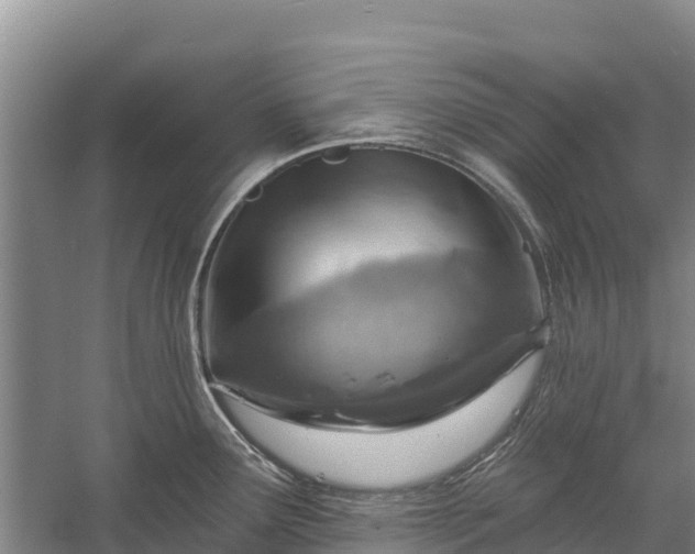 X0000058791291200510071625