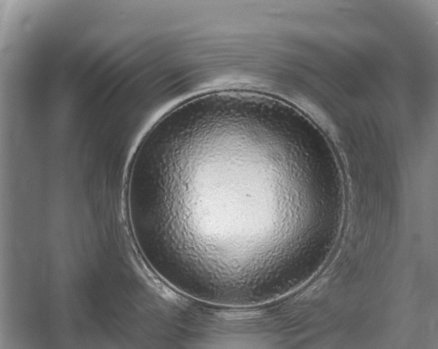 X0000058791296200510071625