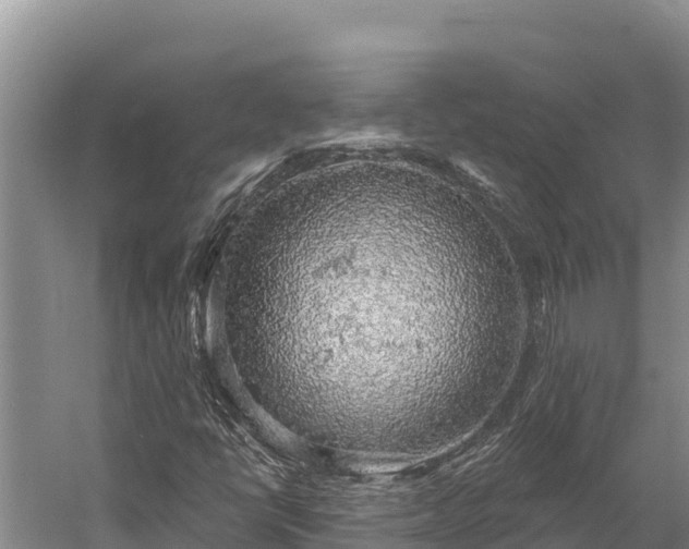 X0000058791398200510071623