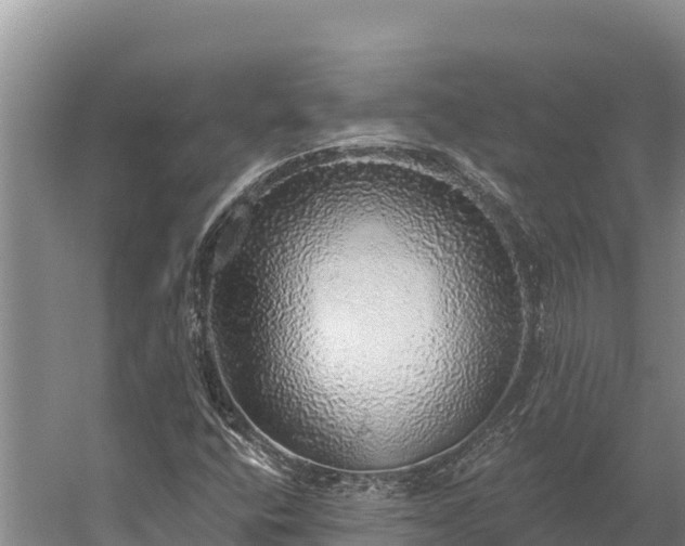 X0000058791400200510071623