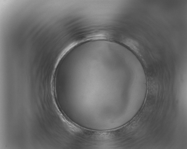 X0000058791474200510071622