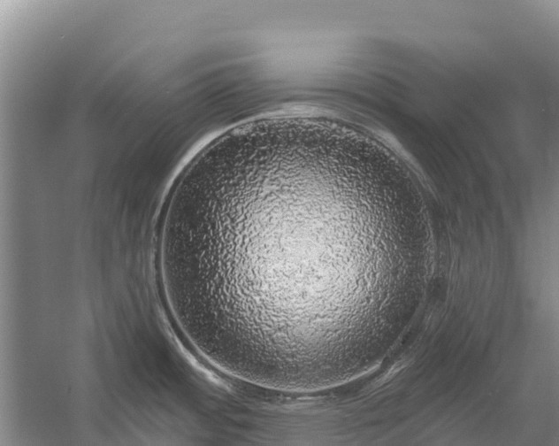 X0000058791484200510071622