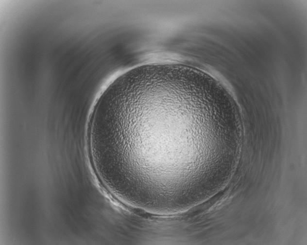 X0000058791488200510071622
