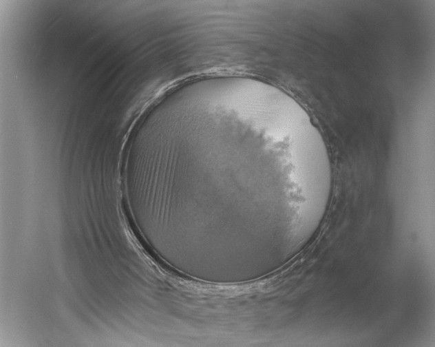 X0000058790002200510171332