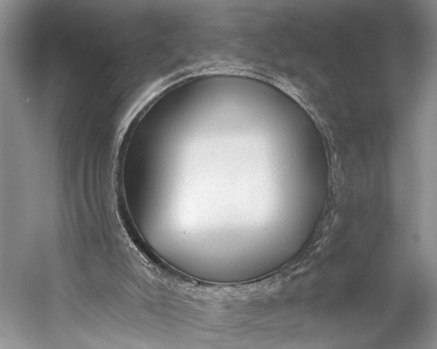 X0000058790007200510171332
