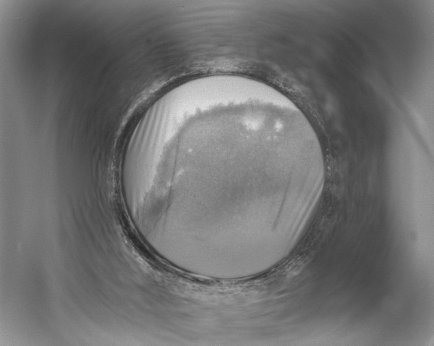 X0000058790012200510171332