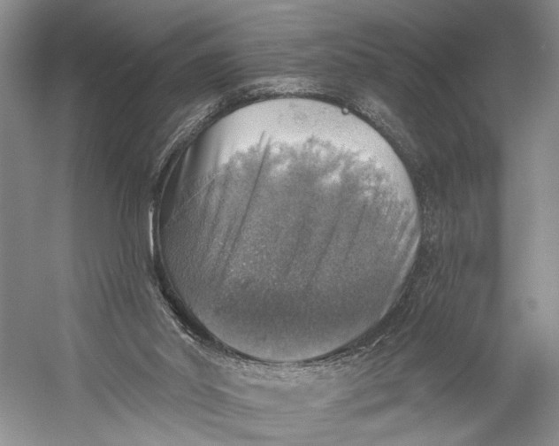 X0000058790014200510171332