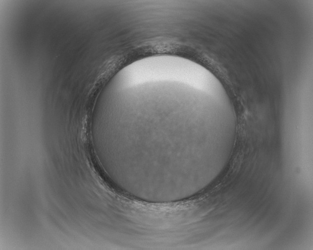 X0000058790018200510171332