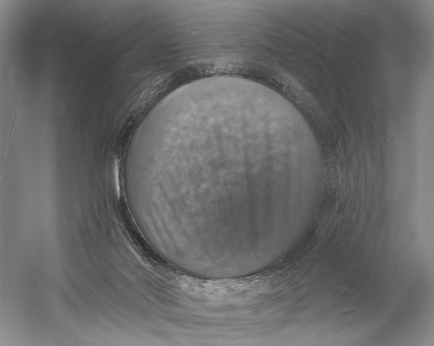 X0000058790022200510171332