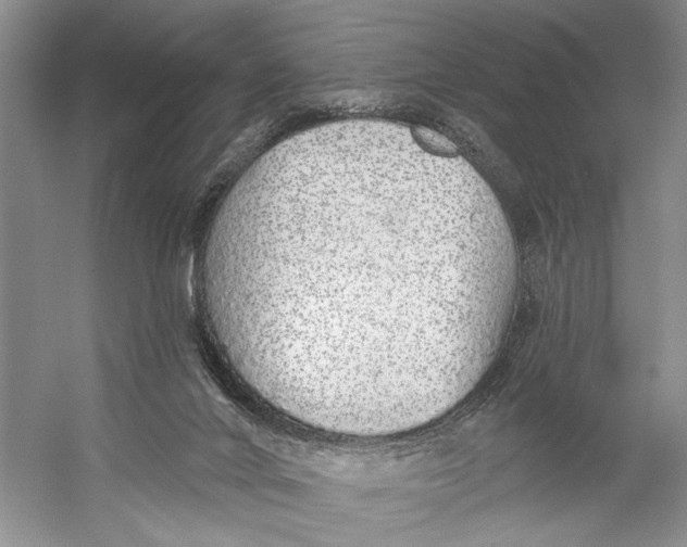 X0000058790024200510171332