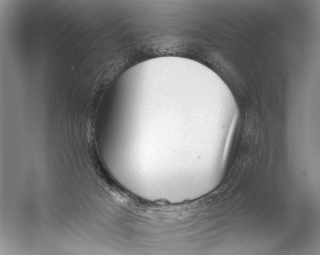 X0000058790025200510171332