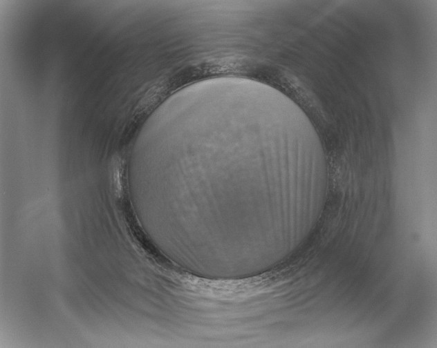 X0000058790026200510171332