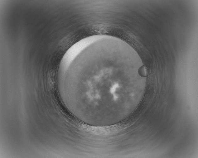 X0000058790030200510171332