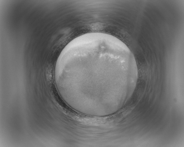 X0000058790032200510171332