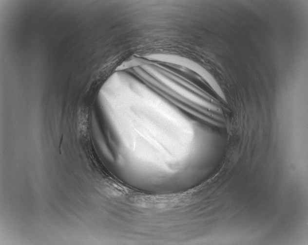 X0000058790033200510171332
