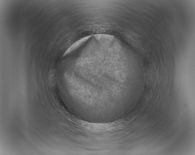 X0000058790034200510171332