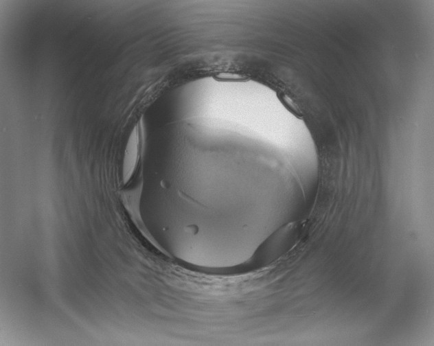 X0000058790035200510171332
