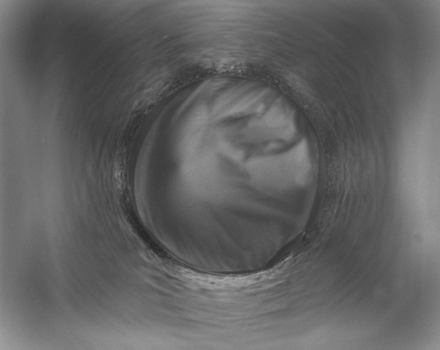 X0000058790039200510171332