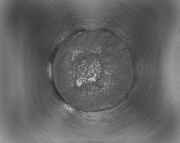 X0000058790041200510171332