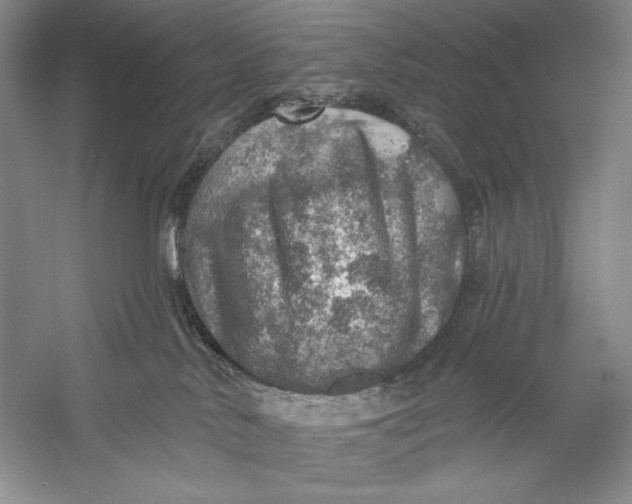 X0000058790042200510171332