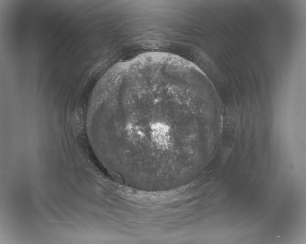 X0000058790043200510171332