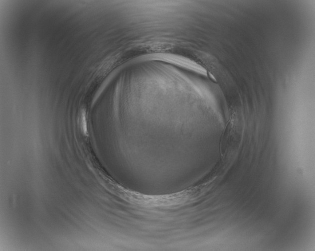 X0000058790046200510171332