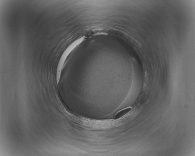 X0000058790048200510171332