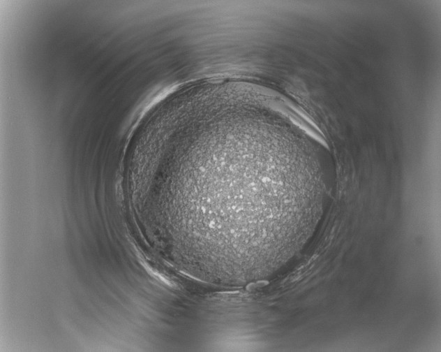 X0000058790050200510171331