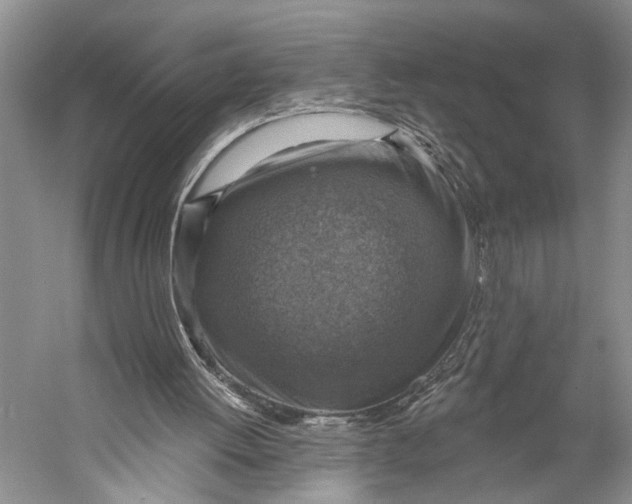 X0000058790052200510171331