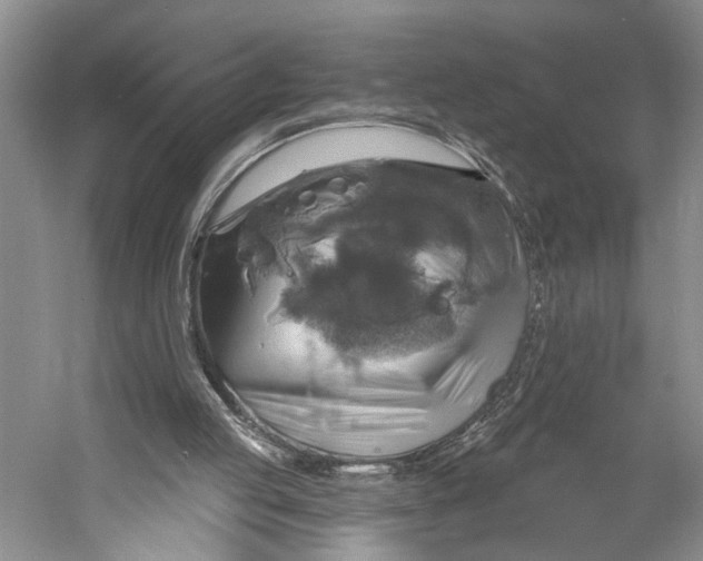 X0000058790053200510171331