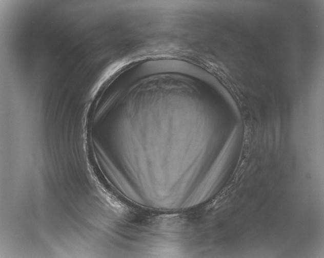 X0000058790054200510171331