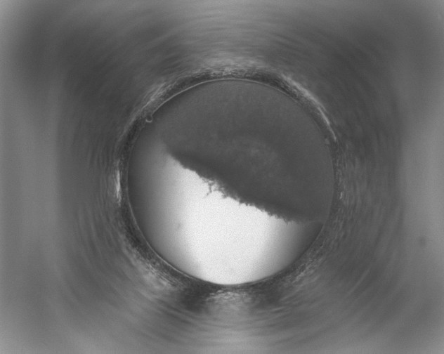 X0000058790067200510171331