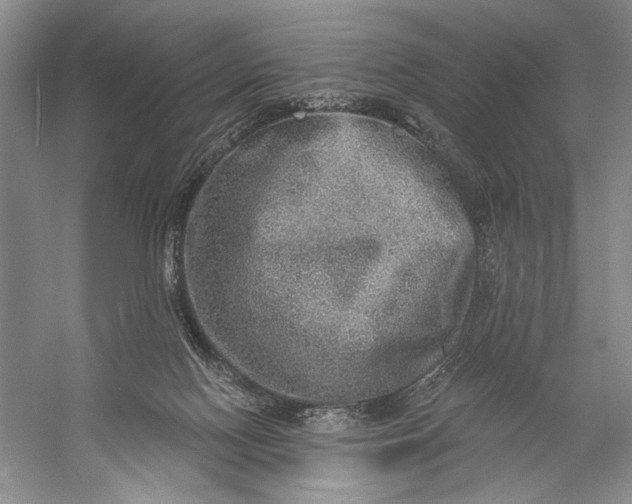 X0000058790074200510171331