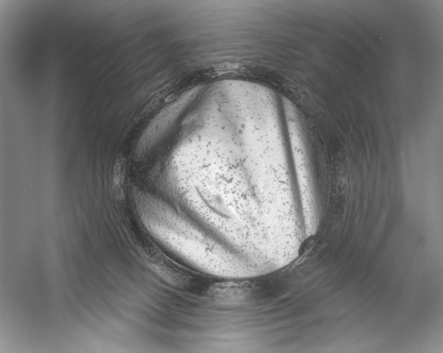 X0000058790082200510171331
