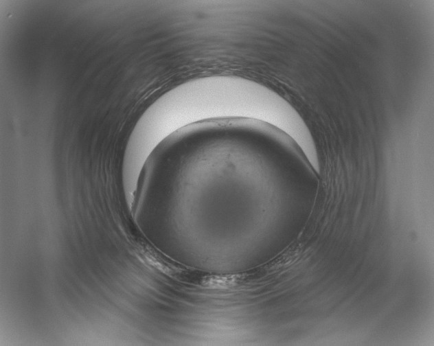 X0000058790084200510171331