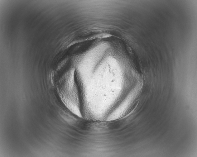 X0000058790094200510171332