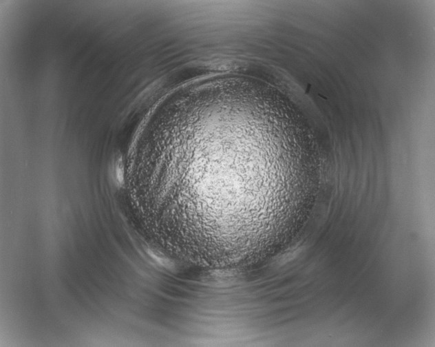 X0000058790095200510171332