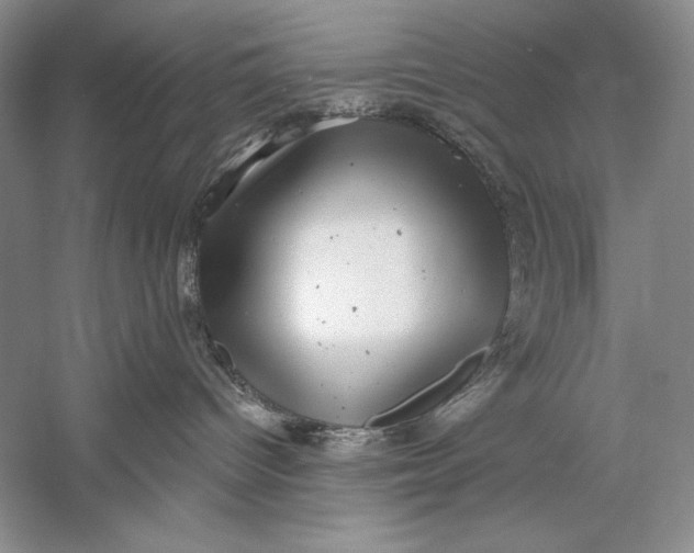 X0000058790096200510171332