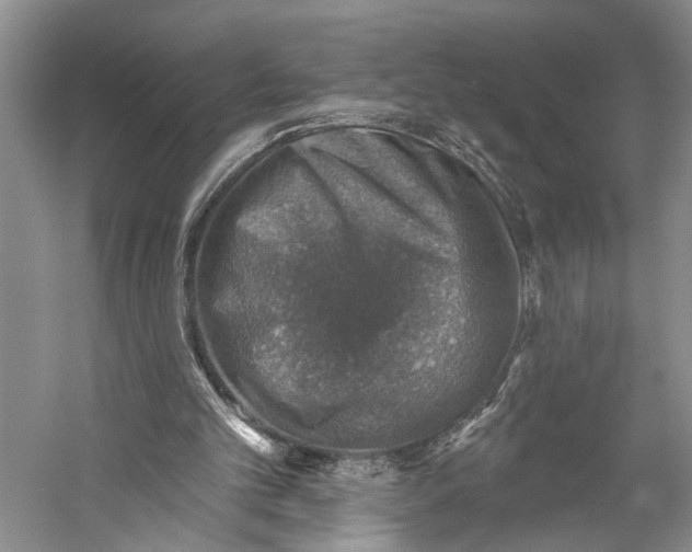X0000058790101200510171331