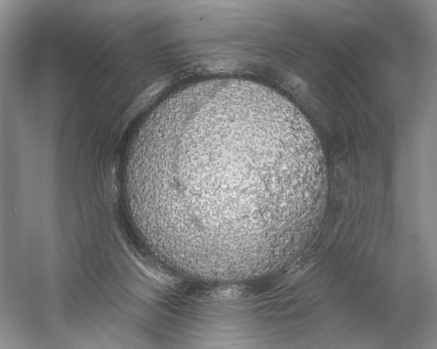X0000058790116200510171330