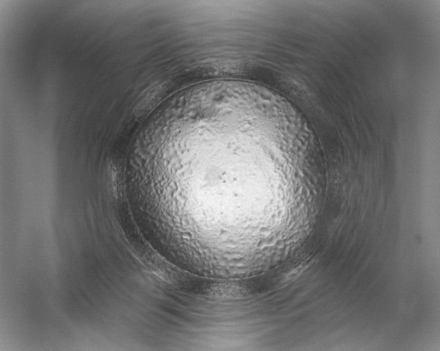 X0000058790123200510171330