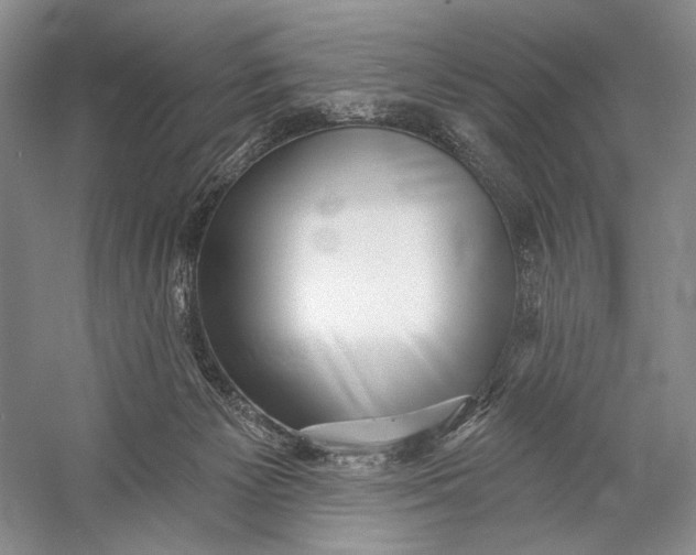 X0000058790125200510171330