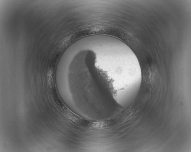X0000058790127200510171330