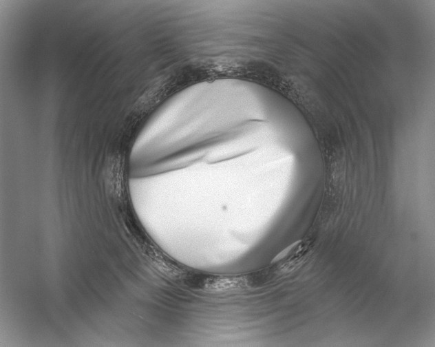 X0000058790129200510171330